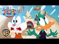 Looney Tunes Go Back to School! 🚌 | Tiny Toons Looniversity | @wbkids