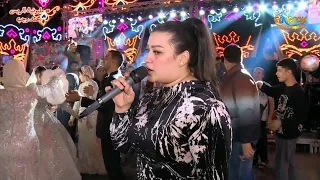 شد حيلك سن نابك    دنيا الالفى و حسام حسن     مليونية الريس محمد رجب      بلجاى    شركة النجوم دندنها