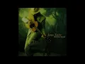 James Taylor - My Traveling Star [5.1 Surround Sound]