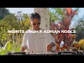 Download Lagu MBINTS JMSH LIVESET 2024 | The Best of Moombahton, Riddim \u0026 Shatta | Guest Liveset by MBINTS JMSH