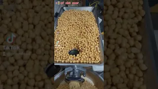 تحضير عجينة الفلافل من الحمص يمكننا استعمال القليل من الفول المجروش للحصول على القرمشة المطلوبة 