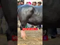 Download Lagu 😈Tuition Badmashi Kaa - Hemant Faujdar, Kiran, Masoom Sharma, Manisha Sharma, Mukesh Jaji Aman Jaji