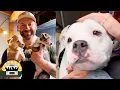 We went to get two and came home with six Lee Asher