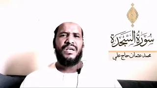 القارئ محمد عثمان حاج علي 