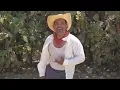 ""Macario Leyva Versión Completa" Leo Bucio Tráiler de Película