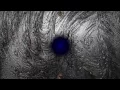 The Future Sound Of London - Papua New Guinea | (Milkdrop video)