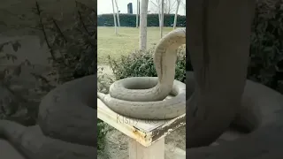 ها شلونك اشتراك يولد حتلو تكمز قناتي القديمه طارت كوميديا تحشيش العراق الشعب الصيني ماله حل 