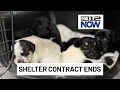Cowlitz County ends shelter contract with Humane Society for SW Washington