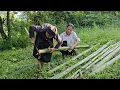 Download Lagu The poor old lady and the homeless girl decided to build a house out of bamboo.