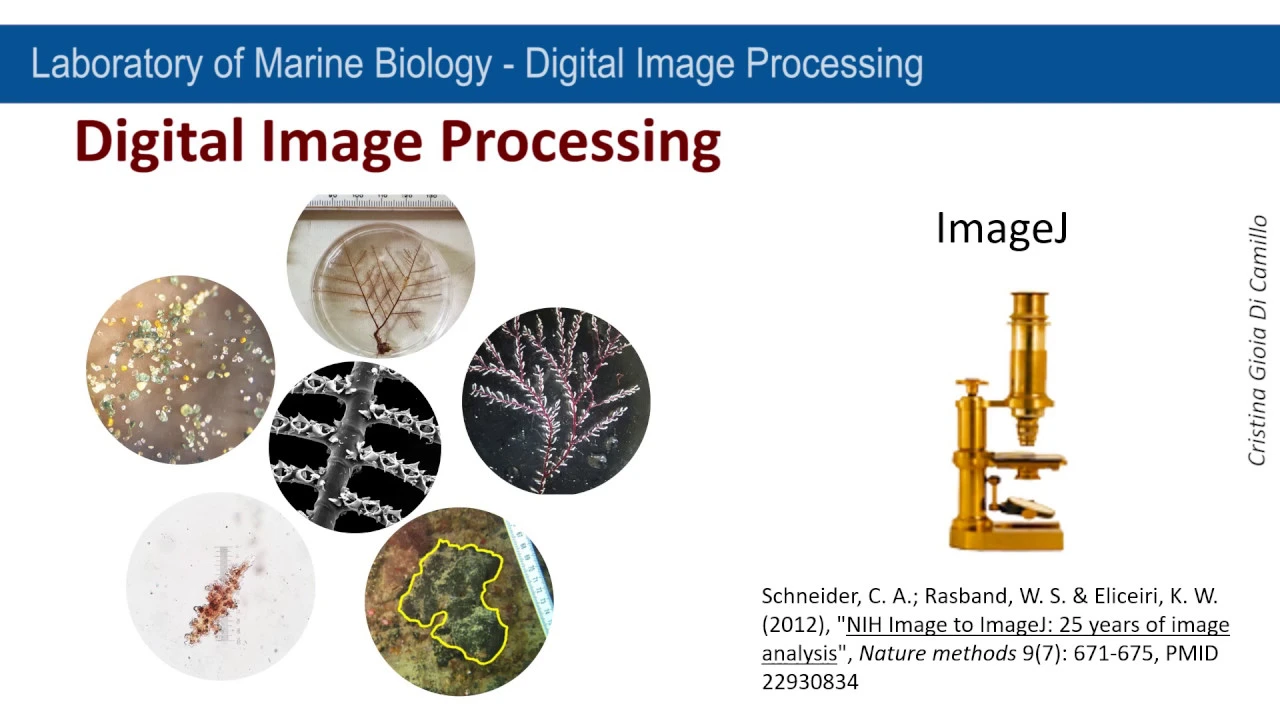 FiSC - Digital Image Processing - ImageJ