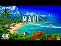 Download Lagu Maui, Hawaii 4K – Paradise Island with Scenic Drives and Hidden Beaches - VIDEO 4K UHD