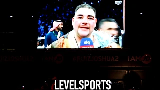 Lethal Bizzle Performs Live Anthony Joshua Win Agaisnt Andy Ruiz