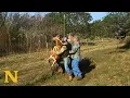 Hunters Rescue Big Buck Stuck in Fence