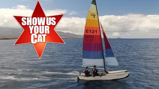 Show us your cat! Episode 121 Puerto Rico and Hawaii