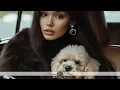 Download Lagu Azimov - Wait For Me (NRG Colabmix) • Video