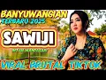 Download Lagu BANYUWANGIAN TERBARU‼️SAWIJI / INTAN MANDASARI / ARYA SATRIA