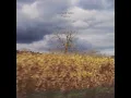 Fragment II - Library Tapes
