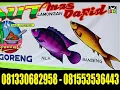 Download Lagu SARI LAUT OR SEAFOOD mas dafid
