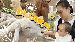 Theo chân bé Gạo dạo 1 vòng Pet Farm nhé // Vlog gia đình bé Gạo