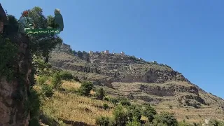 الأحدث والاروع يا من تسلف مننا وكف قضاه لصوت الأرض والانسان الشيخ مقبل علي طلان 