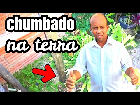 Download MP3 Madeira TRATADA chumbada no concreto ou terra.