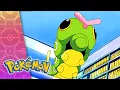 Caterpie s Big Dilemma POKEMON FULL EPISODE 49 Season 8