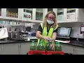 A Day in the Life Machine Operator Quality Assurance Technician