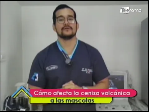 Cómo afecta la ceniza volcánica a las mascotas