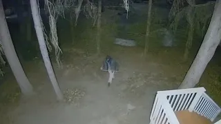 Rochester police investigating series of crimes suspicious incidents at Park Ave home