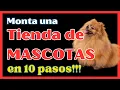 Como montar una Tienda de MASCOTAS 10 Pasos para el Montaje de un PET SHOP