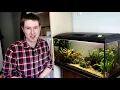 How To Tell If Your Aquarium Snail Is Dead or Just Sleeping?