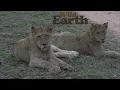 WildEarth - Sunset