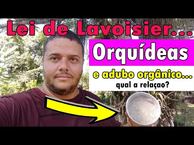 ADUBAÇÃO ORGÂNICA PARA ORQUÍDEAS E COMO A LEI DE LAVOISIER PODE NOS AJUDAR