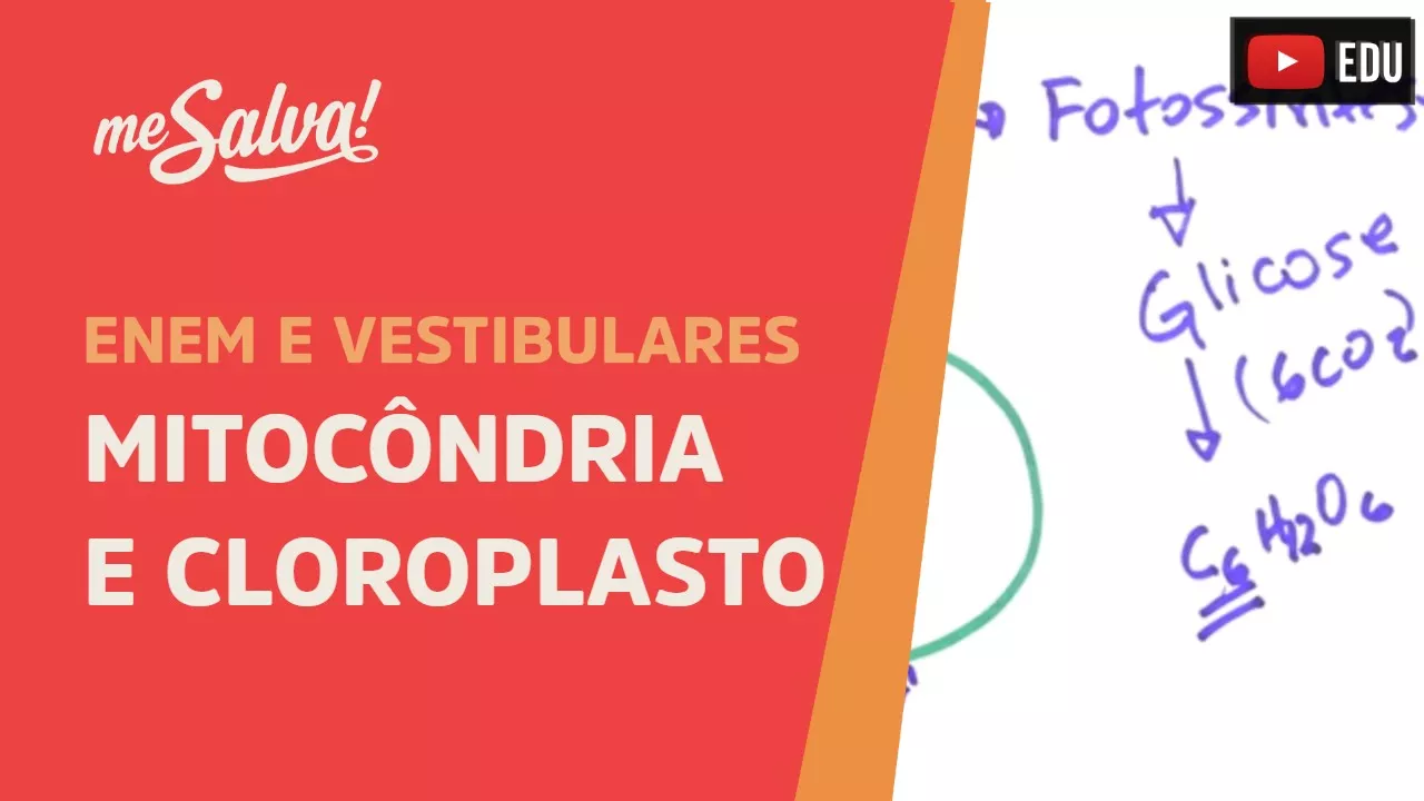 Me Salva! CIT20 - Citologia - Organelas citoplasmáticas 3 - Mitocôndria e Cloroplasto