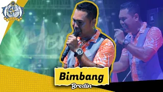 bimbang brodin new pallapa live petraka 2023 season 9