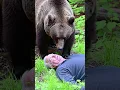 Download Lagu Man Plays Dead For a Bear You Won't Believe What Happens Next