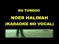 Download Lagu KU TUNGGU - NOER HALIMAH (KARAOKE NO VOCAL)