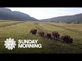 Ted Turner s nature preserves A carefully curated Heaven on Earth