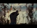 Calibre 50 - Amor Del Bueno (Visualizer)
