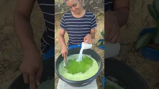 Cómo hacer pintura casi GRATIS para tu casa
