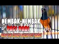 Download Lagu TEMBAKAN TAJAM MURAI BATU BONGKAR ISIAN, PANCINGAN MURAI BATU YANG MACET JADI EMOSI