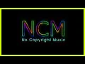 Dog Park – Silent Partner | NoCopyrightMusic – Audio Library ♫