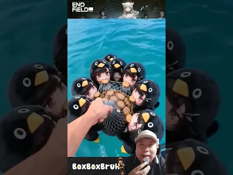 dùng bánh để đi câu