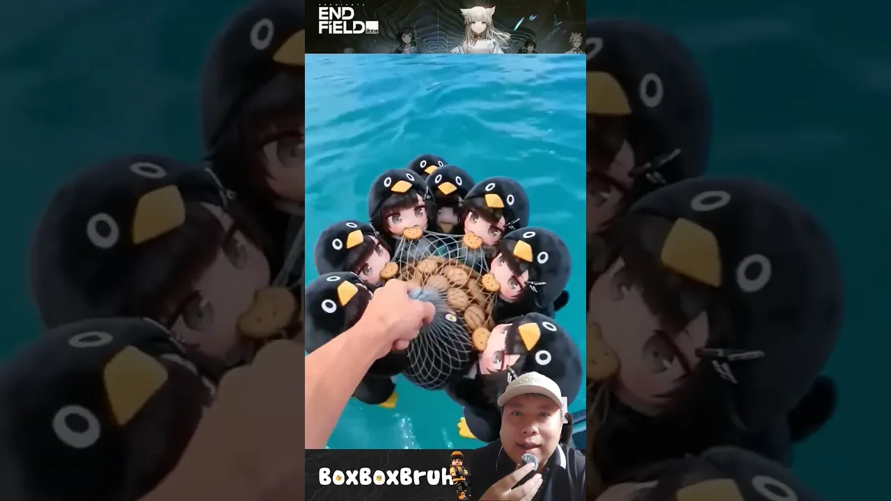 dùng bánh để đi câu