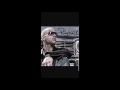 collie buddz holiday