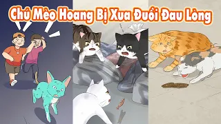 Chú Mèo Hoang Bị Xua Đuổi Đến Đau Lòng