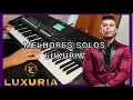 Lagu MELHORES SOLOS LUXÚRIA