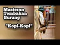 Download Lagu Masteran burung KOPI KOPI bahan gacor tembakan kasar