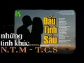 Download Lagu NGÔ THỤY MIÊN TRỊNH CÔNG SƠN - TÌNH CA PHÒNG TRÀ VỚI NHỮNG TÌNH KHÚC BẤT TỬ