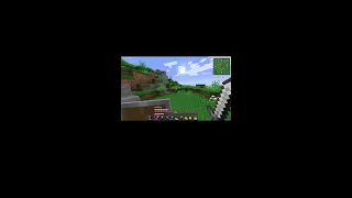 #1 better minecraft
